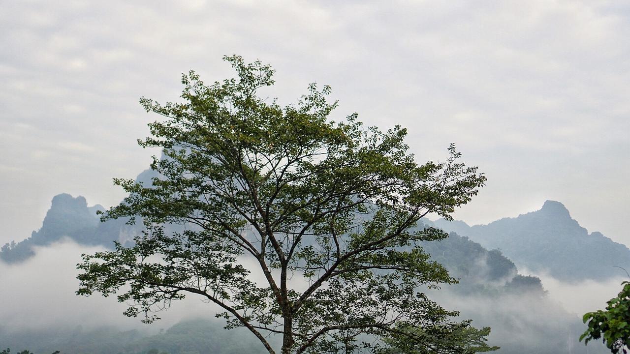 Khaowong Resort 팡응아 외부 사진