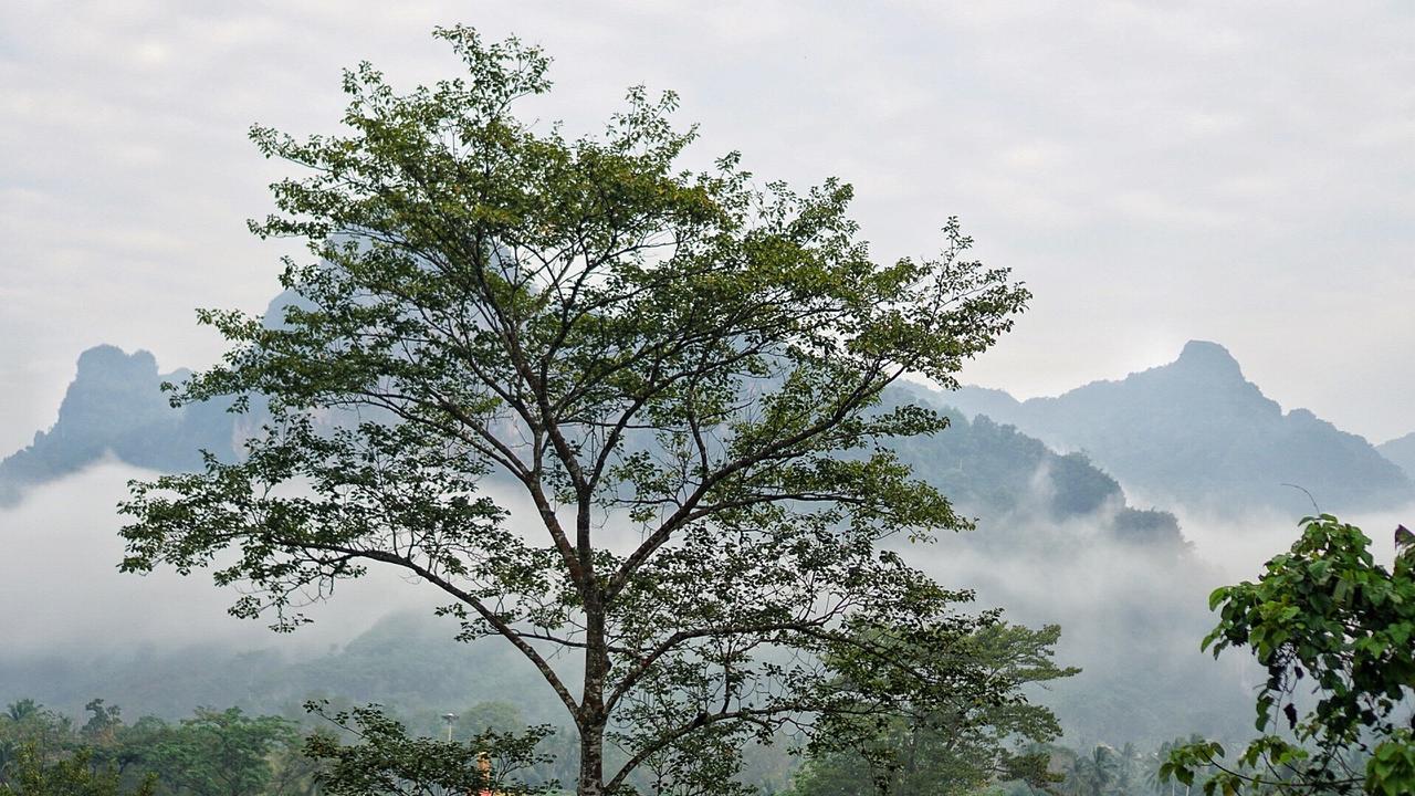 Khaowong Resort 팡응아 외부 사진